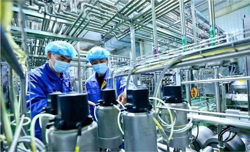 蘭州新區(qū)國(guó)慶假期生產(chǎn)不打烊，全力趕制訂單保障西安網(wǎng)絡(luò)需求