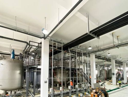 科學(xué)家發(fā)現(xiàn)衰老逆轉(zhuǎn)關(guān)鍵分子，富人圈爭(zhēng)相追捧，市場(chǎng)規(guī)?；蜻_(dá)300億